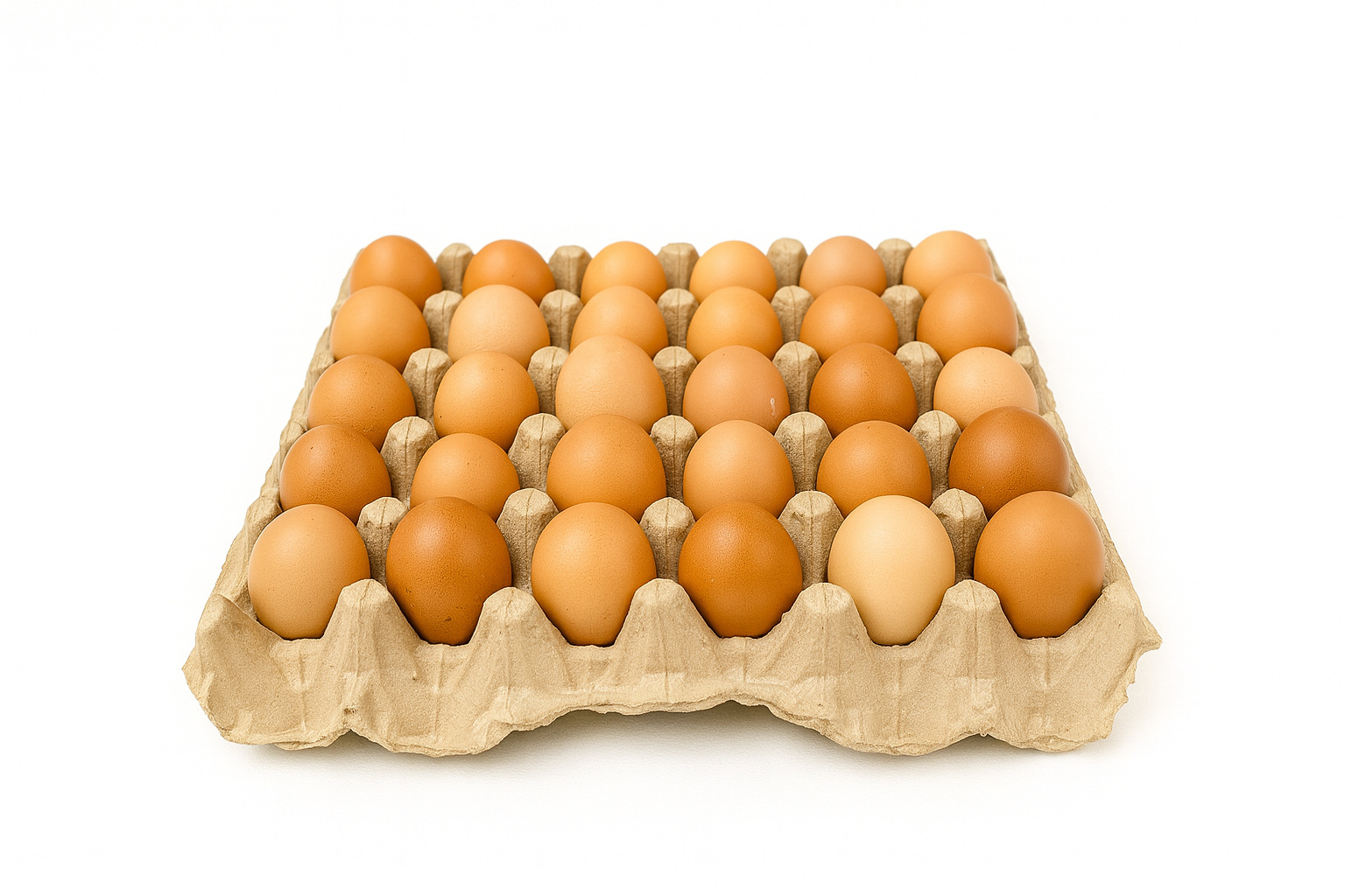 Telur 16 Butir (1kg)