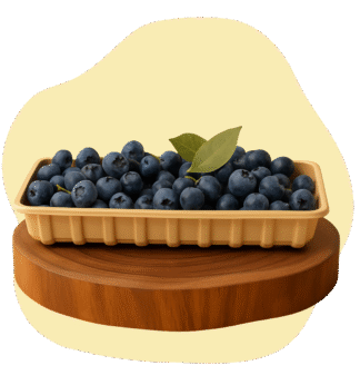 Blueberry RRC Sun Moon